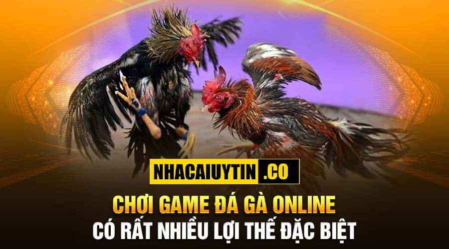 Top 10 Sân Chơi Game Đá Gà Online Đáng Chơi Nhất Chơi game đá gà online có rất nhiều lợi thế đặc biệt