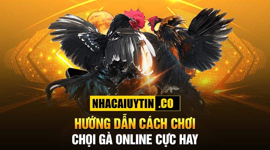 Top 10 Sân Chơi Game Đá Gà Online Đáng Chơi Nhất Hướng dẫn cách chơi chọi gà online cực hay