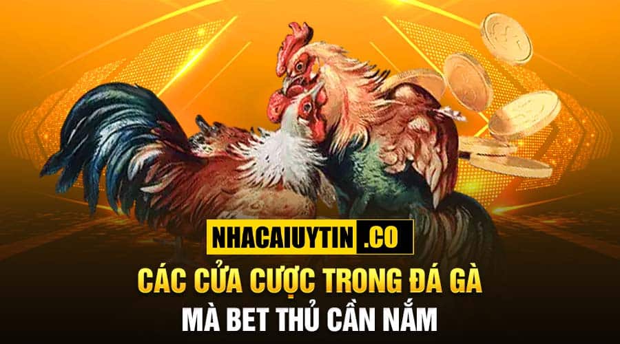 Top 10 Sân Chơi Game Đá Gà Online Đáng Chơi Nhất Các cửa cược trong đá gà mà anh em kê thủ cần nắm