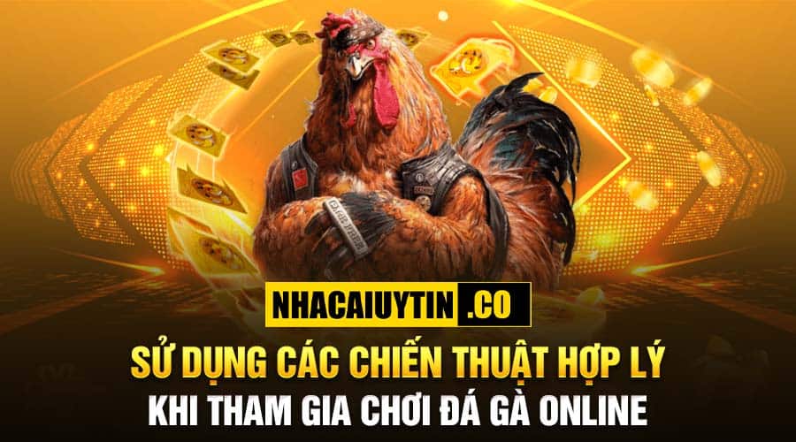 Top 10 Sân Chơi Game Đá Gà Online Đáng Chơi Nhất Sử dụng các chiến thuật hợp lý khi tham gia chơi đá gà online
