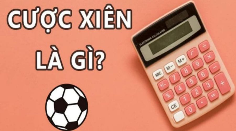 Kèo Xiên Là Sao? Giải Mã Cách Đọc Và 4 Mẹo Đánh Giải đáp khái niệm về kèo xiên