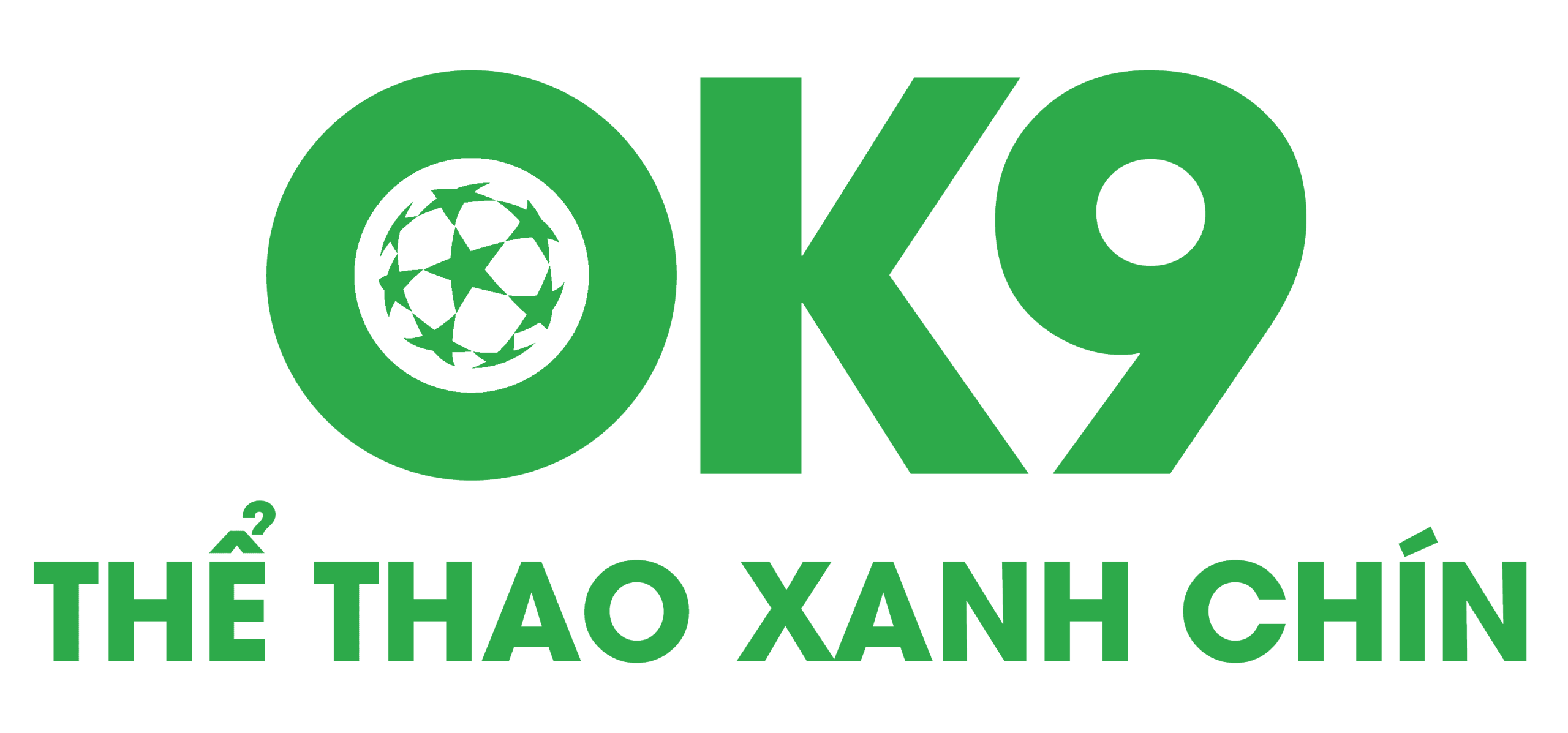 logo ok9 scaled