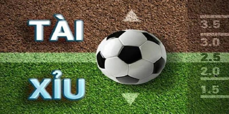 Kèo Tài Xỉu 2 Trái Là Gì? Bí Kíp Vào Kèo Tài Xỉu 2 Trái Cách đọc kèo tài xỉu 2 trái là gì