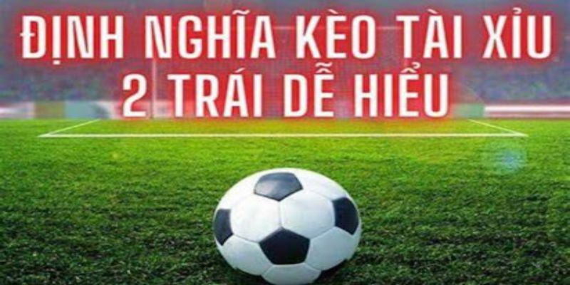 Kèo Tài Xỉu 2 Trái Là Gì? Bí Kíp Vào Kèo Tài Xỉu 2 Trái Giải thích kèo tài xỉu 2 trái là gì